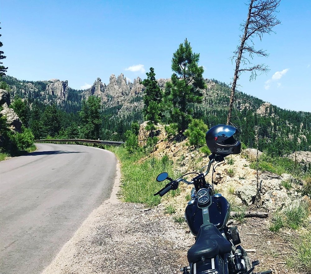 Needles Highway view