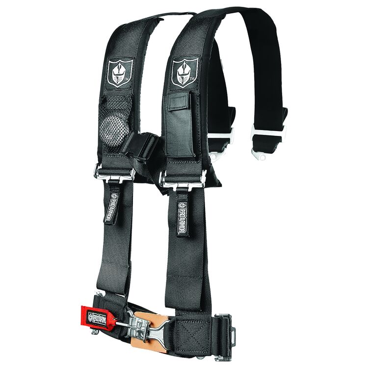 4-Point Harness